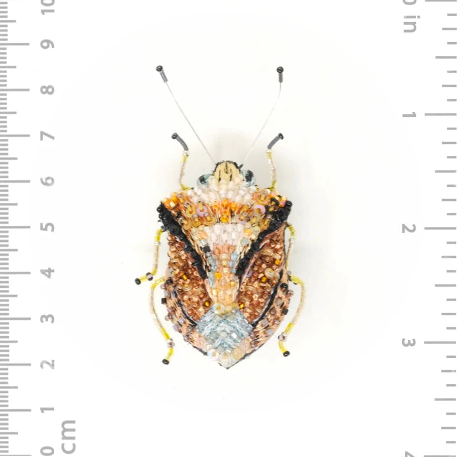 European Shield Bug Brooch Pin