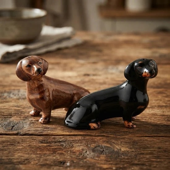 Daschund Salt and Pepper