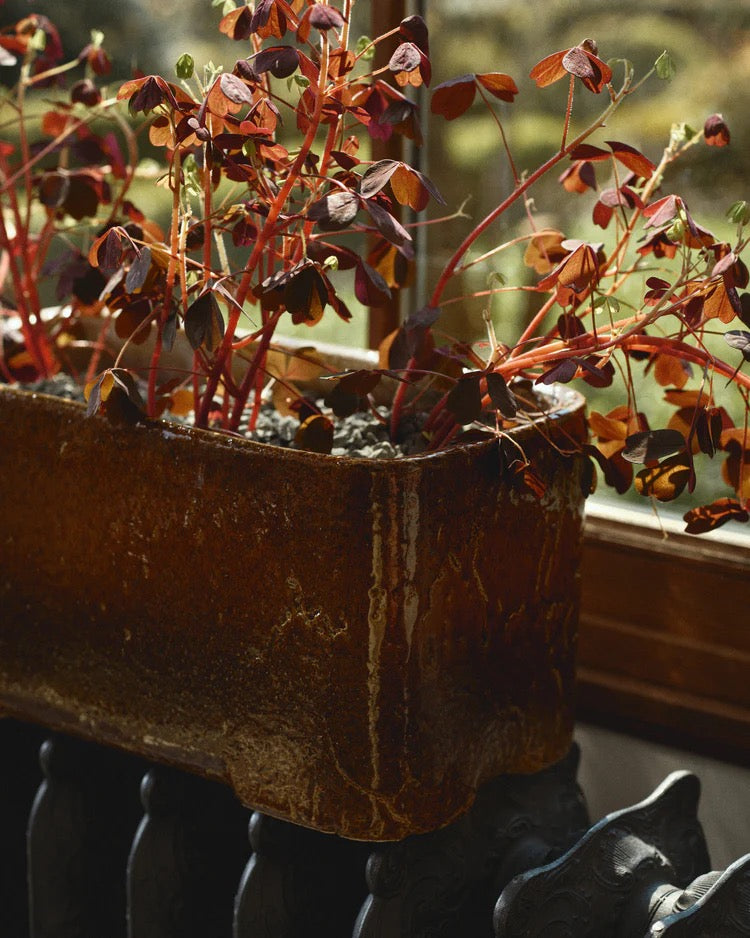Stoneware Planter Low
