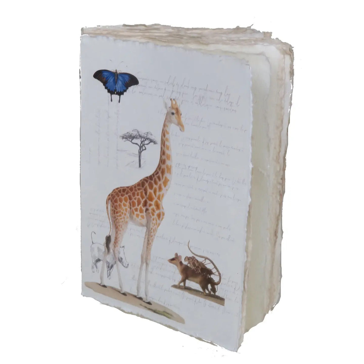 Parchment Paper Notebook Botanical Zoo