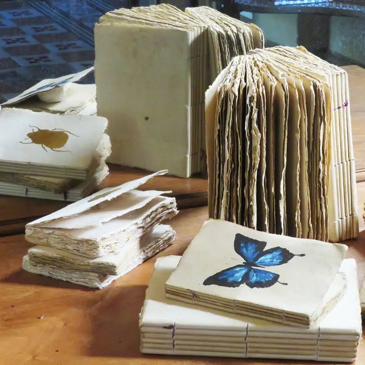 Parchment Paper Notebook Curiosities