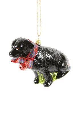 Festive Black Lab