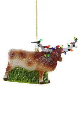 Festive Longhorn