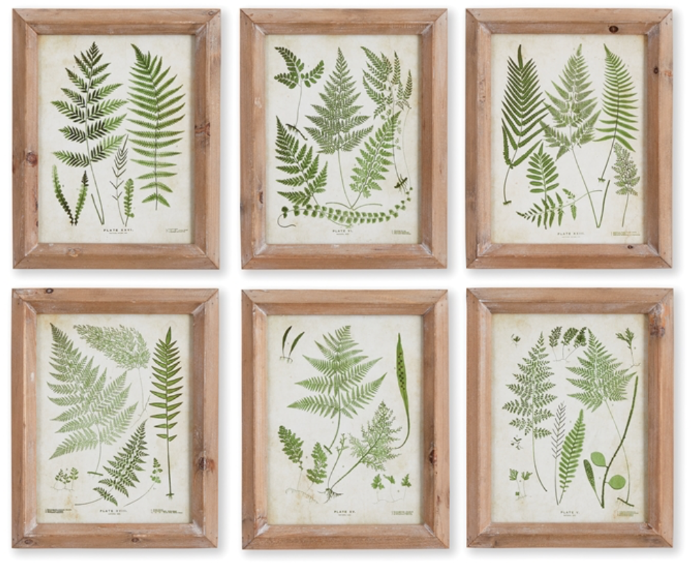 Assorted Frond Study Petite Prints
