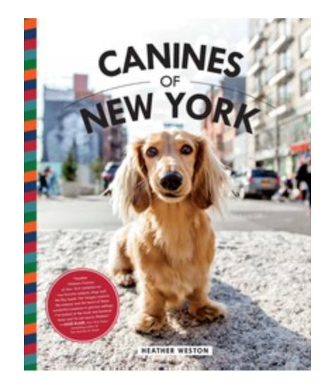 Canines of New York