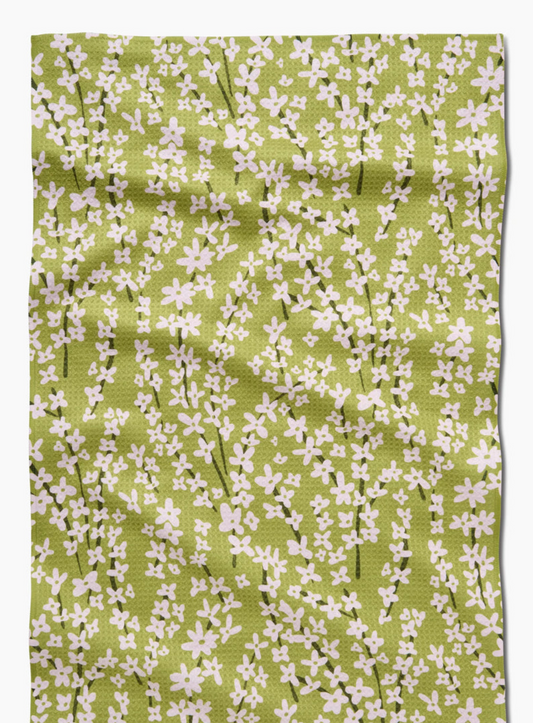 Spring Green Forsythia
