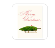 Nordic Sled Occasion Card