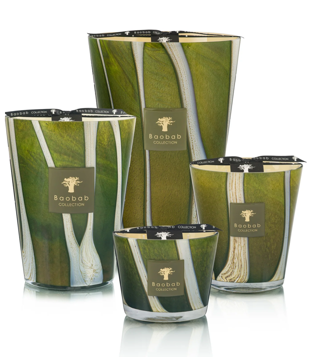 Baobab Sherwood Candle
