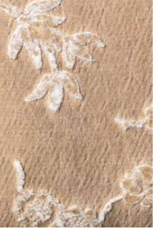 Naftalene Pillow