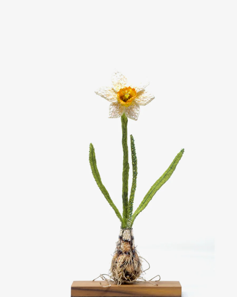 Daffodil Object Art