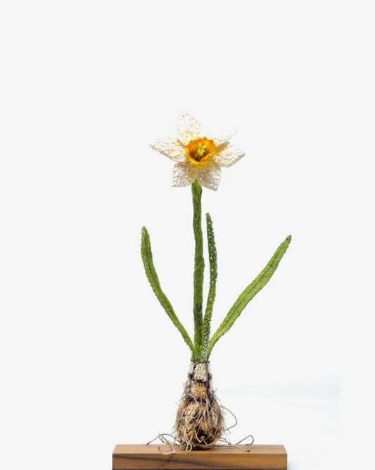 Daffodil Object Art