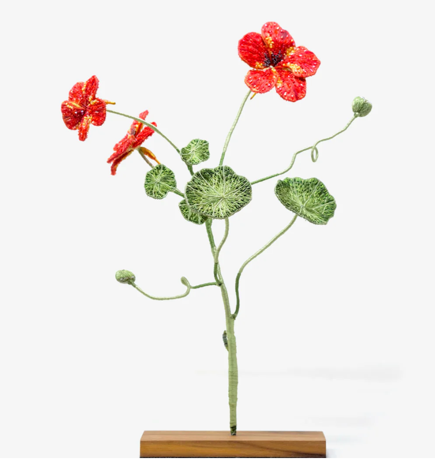 Garden Nasturtium Object Art