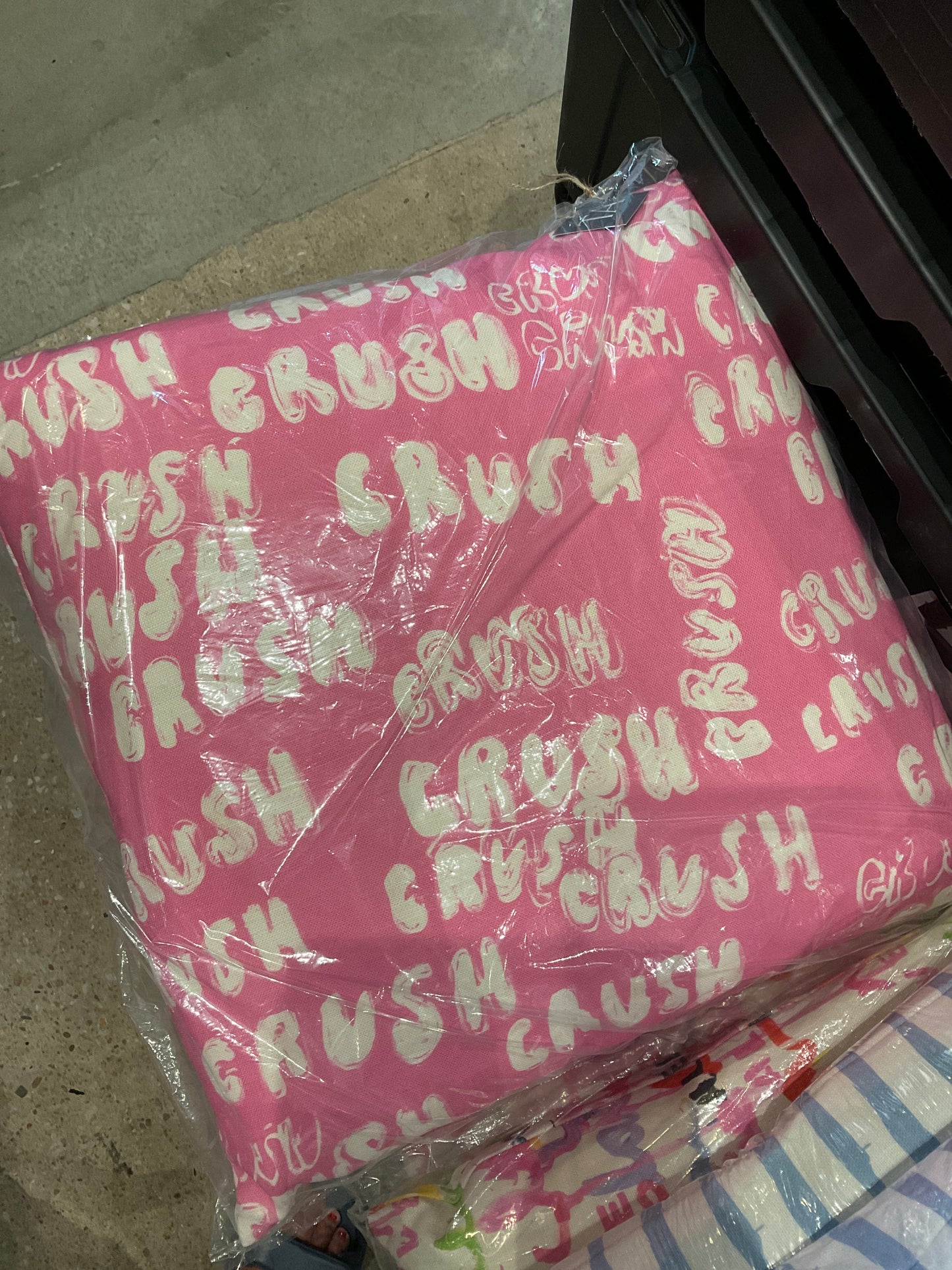 Crush on You Pillow