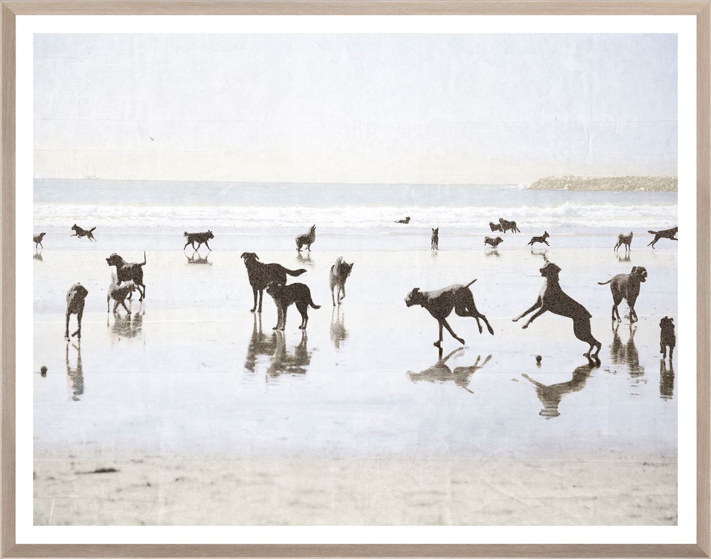 Dogs Day on the Beach Art