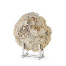 Load image into Gallery viewer, Sliced Petrified Wood
