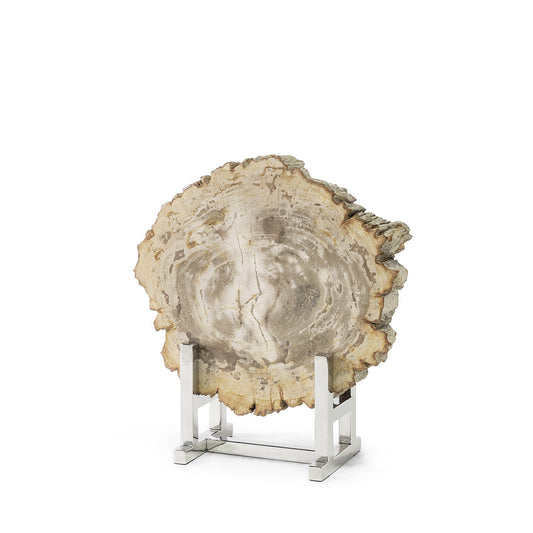 Sliced Petrified Wood