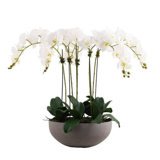 Rustic Orchid Arrangement