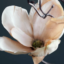 Load image into Gallery viewer, Magnolia Flower
