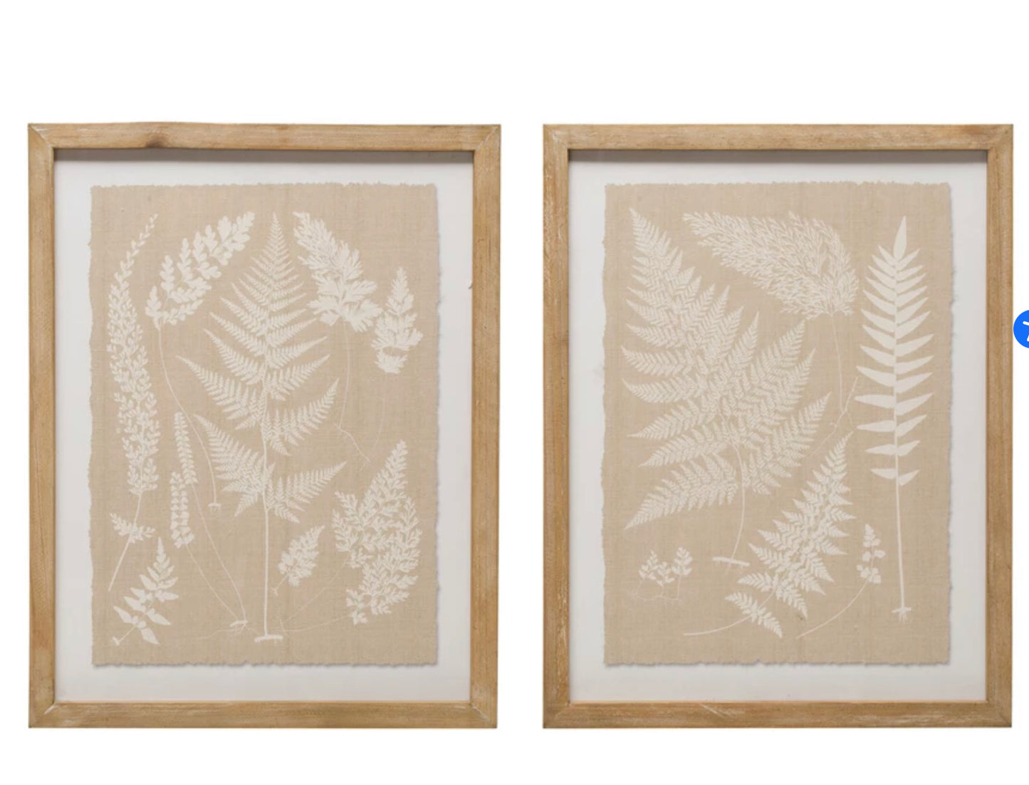 Wood Framed Wall Décor with Fern Fronds