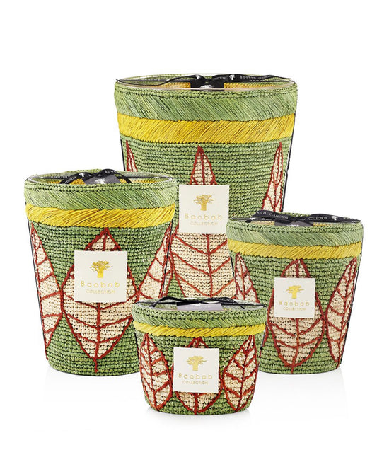 Baobab - Ravinstsara Candle