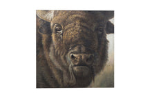 Load image into Gallery viewer, Buffalo
