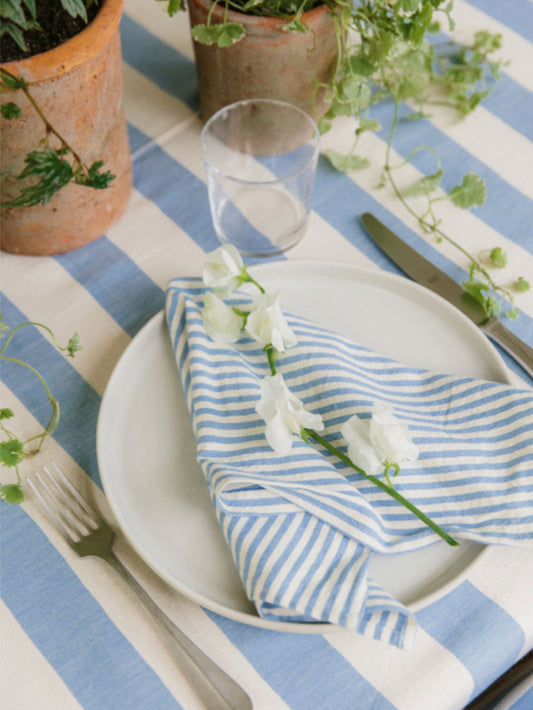 Mini Stripe Napkin set/4