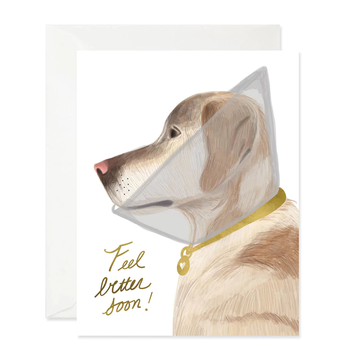 Feel Better Dog Card
