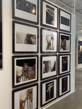 Load image into Gallery viewer, Horse Series
