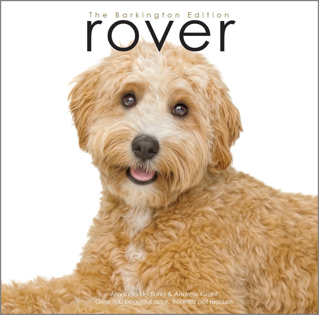 Rover: The Barking Edition