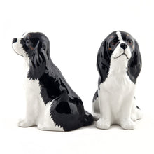 Load image into Gallery viewer, Cavalier King Charles Spaniel Salt &amp; Pepper
