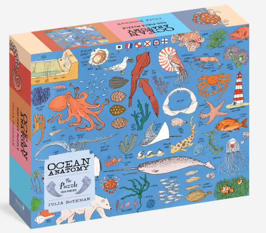 Ocean Anatomy Puzzle
