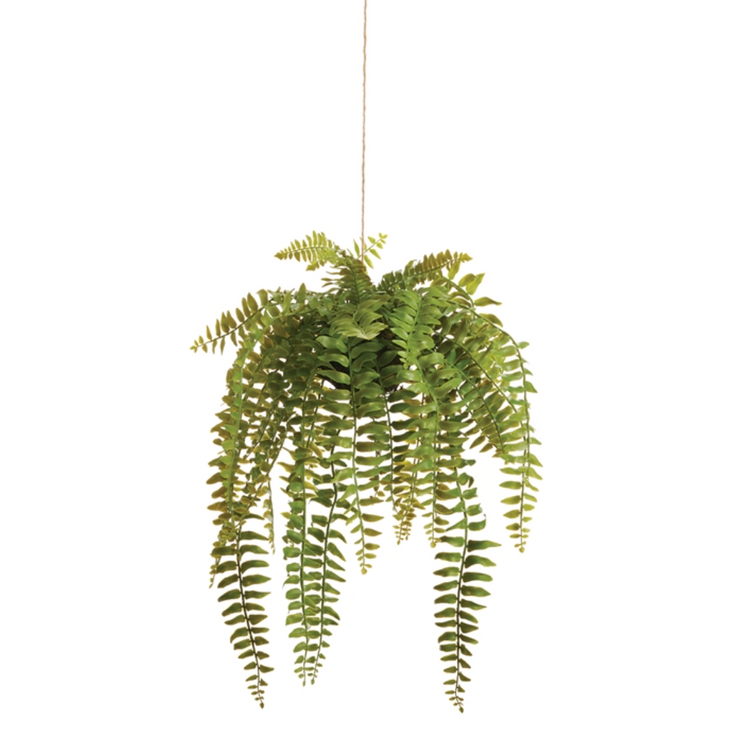 faux fern hanging plant Boston Hanging Fern – TA Lorton