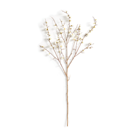 Quince Blossom Branch