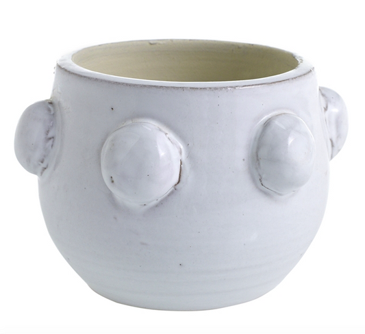 Rosa Pot