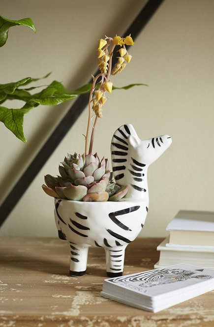 Zebra Pot