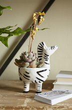 Load image into Gallery viewer, Zebra Pot
