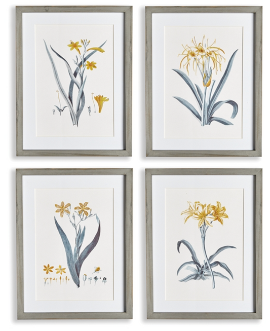 Daffodil Prints