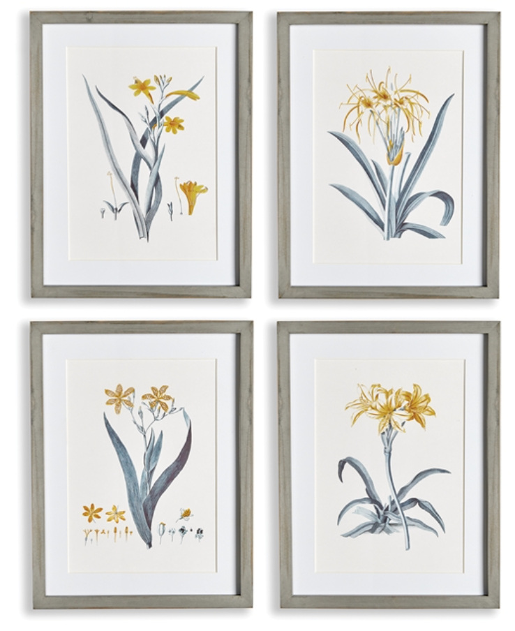 Daffodil Prints