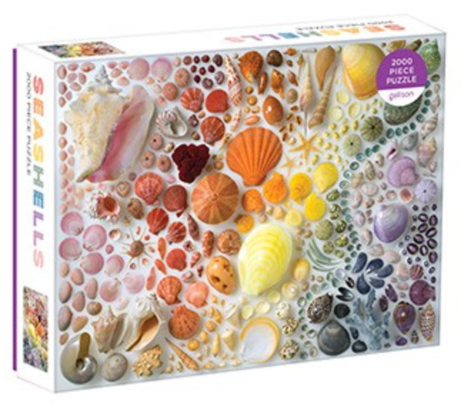 Rainbow Seashells Puzzle