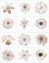 Load image into Gallery viewer, White Flower Art
