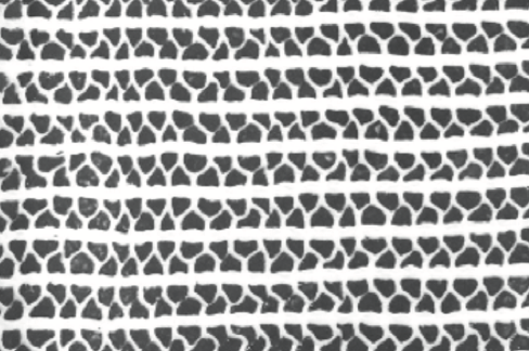 Strata Black Condiment Dish