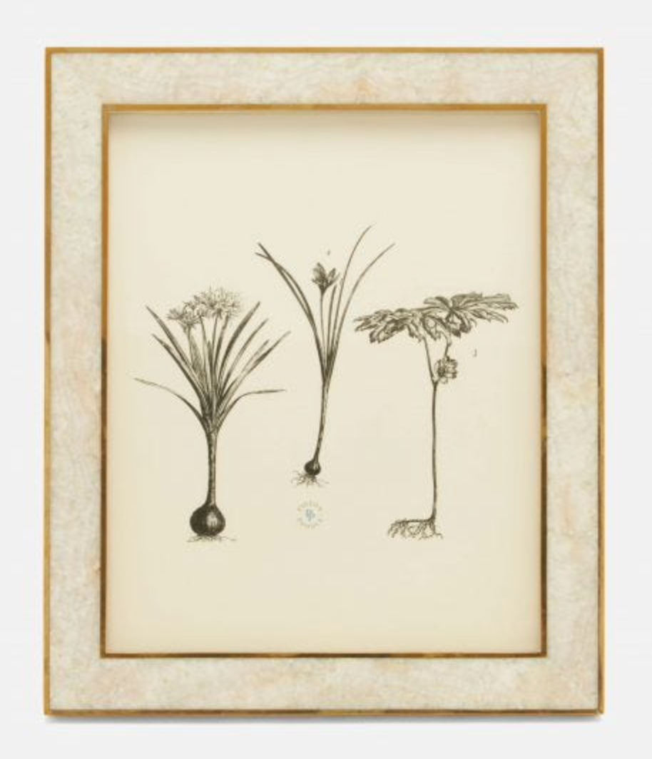 Helena Picture Frame