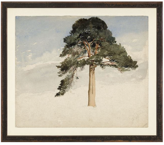 Collection Vintage - Trees