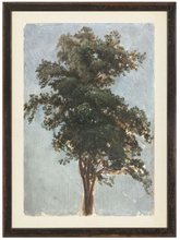 Load image into Gallery viewer, Collection Vintage - Trees
