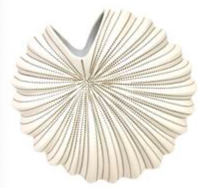 Palms Vase