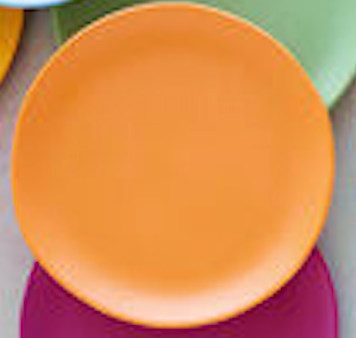Rainbow Plate