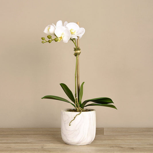 Artificial Orchid Arrangement