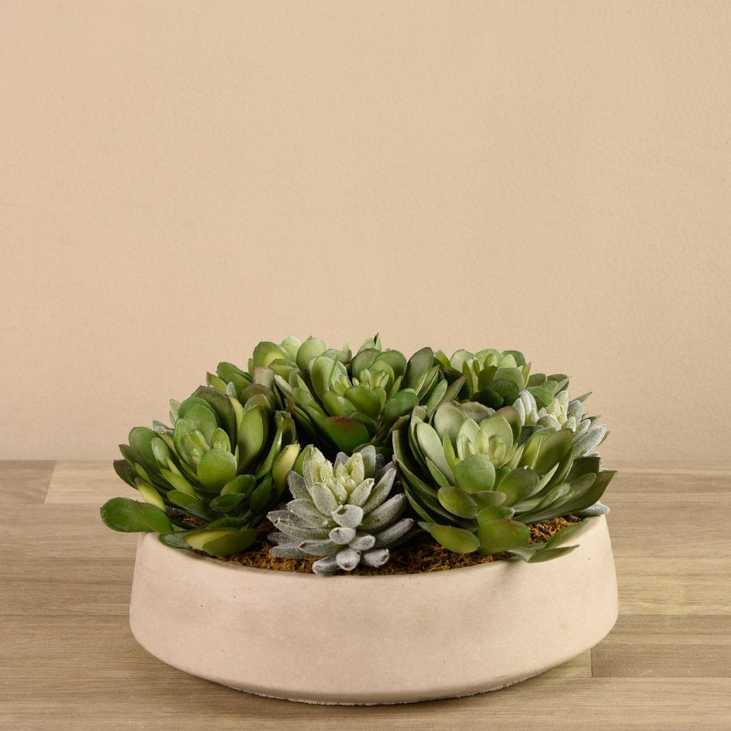 Beige Succulent Arrangement