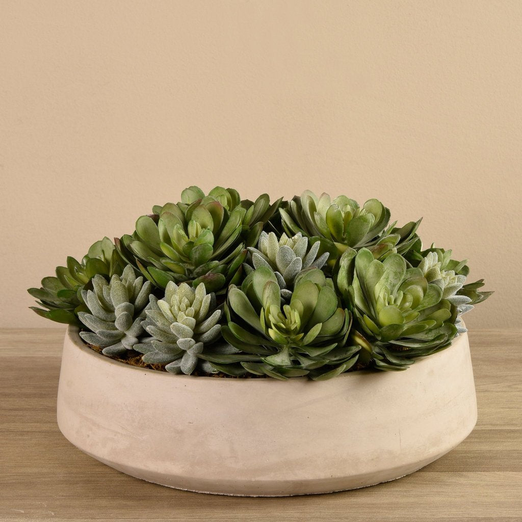 Beige Succulent Arrangement