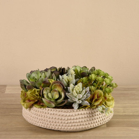 Dot Beige Succulent Arrangement